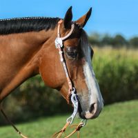 Billy Royal® Silver Engraved One Ear Headstall