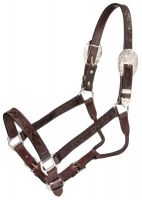 Medium Leather and Silver Western Horse Show Halter with Matching