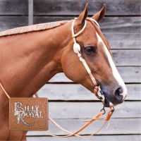 Billy Royal® Box Cheek Two Ear Silver Show Headstall