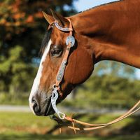 SS Two Ear Silver Teardrop Cheek Plate Headstall