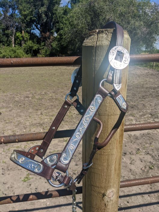 Western Show Halter Silver Bar Horse Size Dark Regular Quality