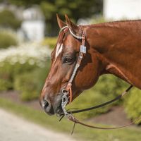 Billy Royal® Mesquite Two Ear Headstall Light Oil