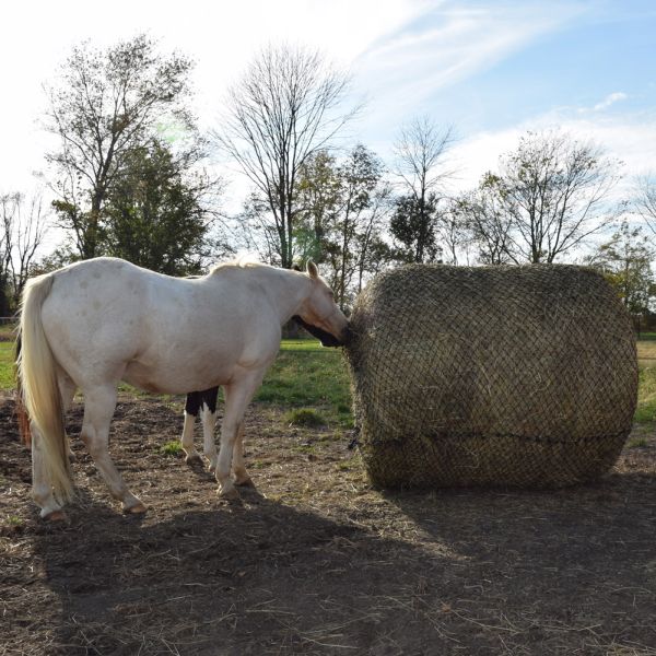 Hay Bags and Nets