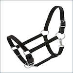 Draft Horse Halters