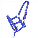 Foal Halters