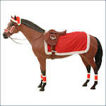 Holiday Horse Wear
