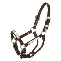 Miniature Horse Silver Show Halter - Matching Lead Shank - Royal King