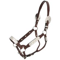 Congress Cut Silver Show Halter with Berry Edge - Horse Size - Dark Oil - Matching Lead Shank