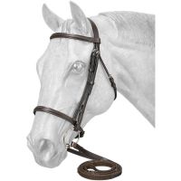 English Snaffle Bridle with Web Reins
