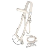 King Series Draft Horse Show Halter with Lead