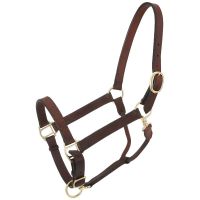 Royal King Churchill Stable Halter with Snap - Horse Size