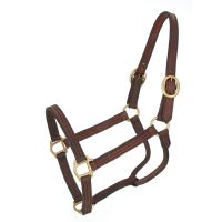 Royal King Leather Track Halter - Yearling Size