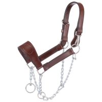 Royal King Leather Mule Halter with Draw Chain