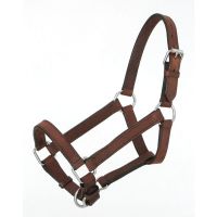 Royal King Miniature Leather Halter  - Small