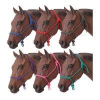 Tough 1 Poly Rope Halter - 6 Pack