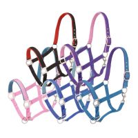 Tough 1 Padded Horse Halter with Satin Hardware