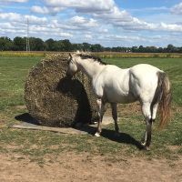 Tough1 6 x 6 Round Bale Hay Net - 2 1/2"