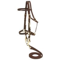 Australian Outrider Nylon Halter Bridle with Reins