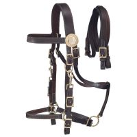 Australian Outrider Supreme Leather Halter Bridle