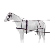 Royal King Leather Horse Harness