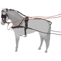 Silver Royal Miniature Show Harness