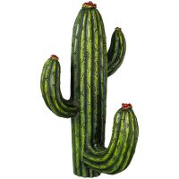 Single Cactus Hook