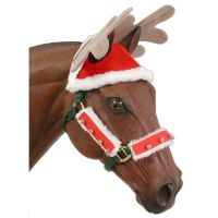 Holiday Reindeer Hat