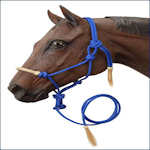 Rope Halters